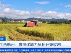 机械化收割、“鸭管家”除虫 农业科技+生态种养助力增产增收