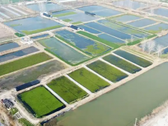 淮安清江浦区：“生态种养”带旺特色产业